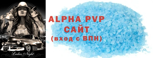индика Ижевск