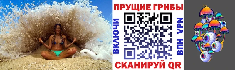 Галлюциногенные грибы прущие грибы  купить   Яблоновский 